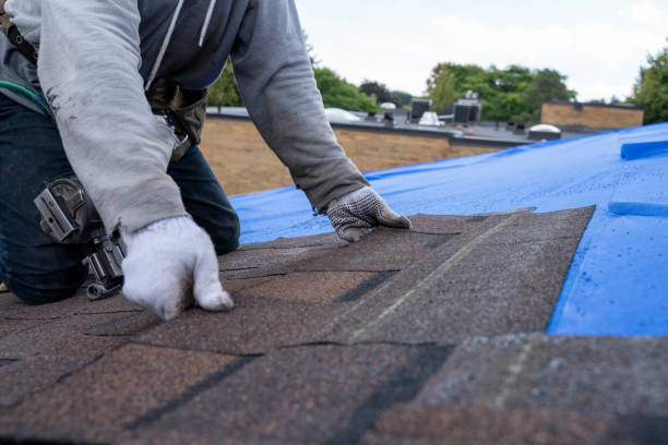 Best Roof Gutter Cleaning  in Stanford, CA